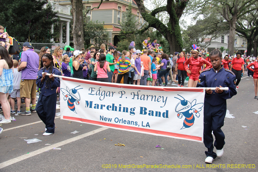 Krewe-of-Iris-2019-006670