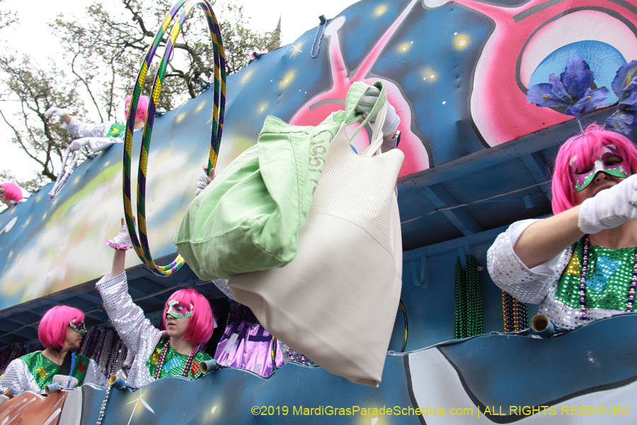 Krewe-of-Iris-2019-006685