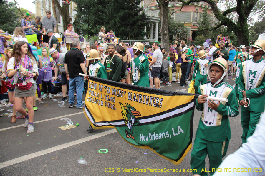 Krewe-of-Iris-2019-006687