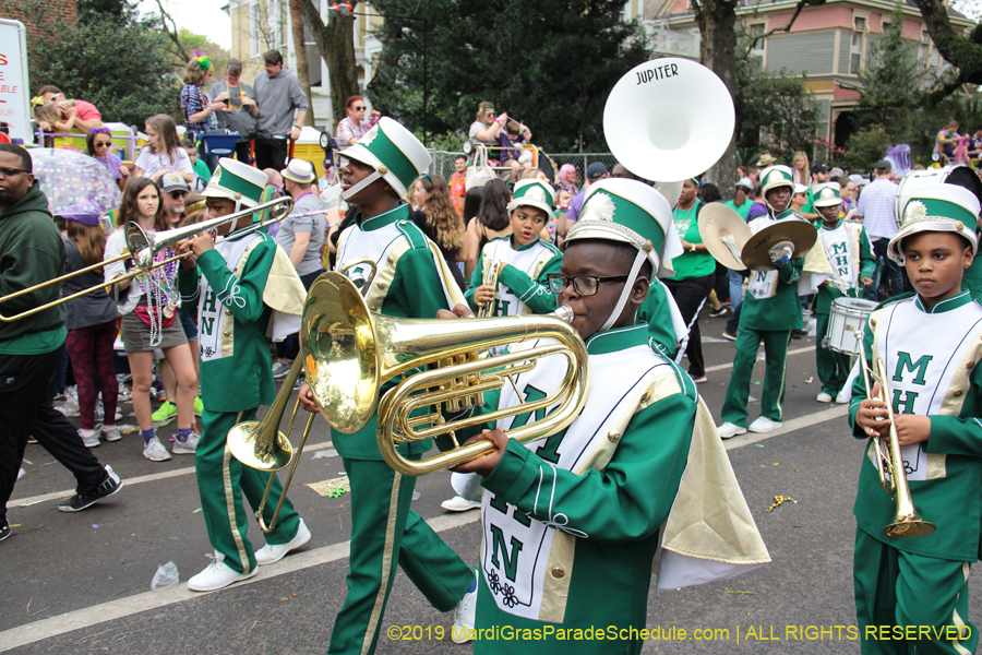 Krewe-of-Iris-2019-006688