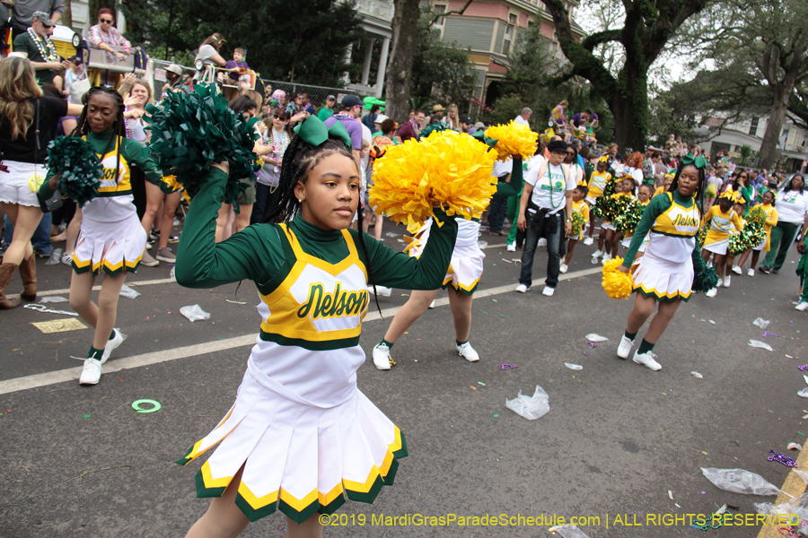 Krewe-of-Iris-2019-006690