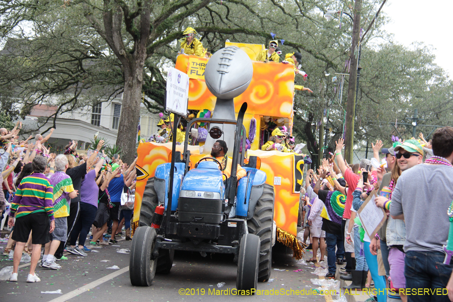 Krewe-of-Iris-2019-006691