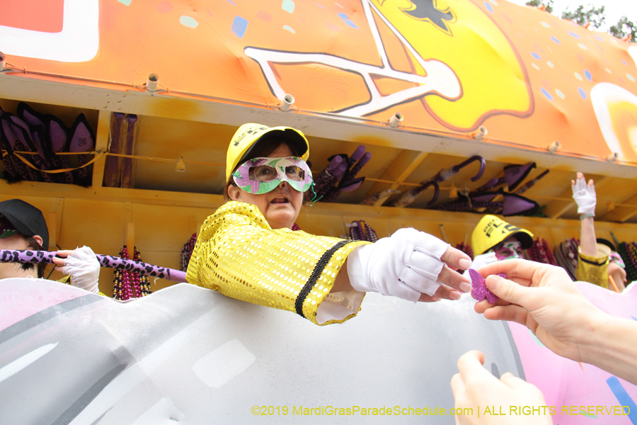 Krewe-of-Iris-2019-006697