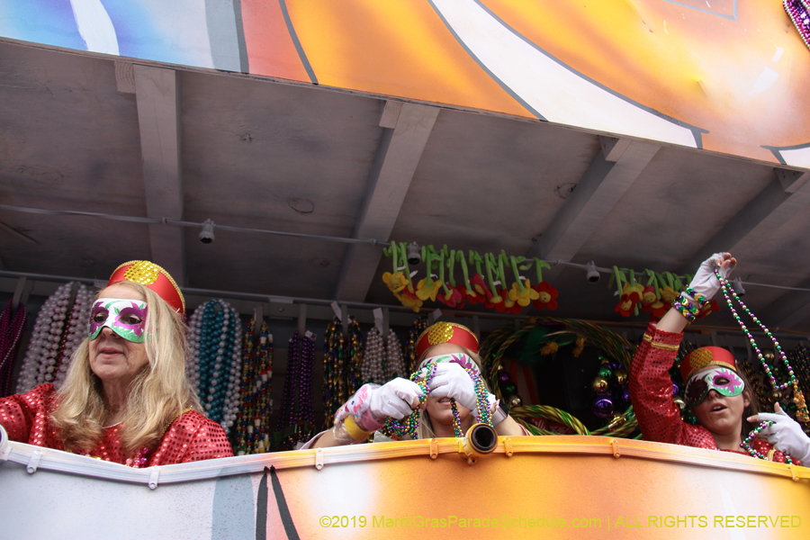 Krewe-of-Iris-2019-006713