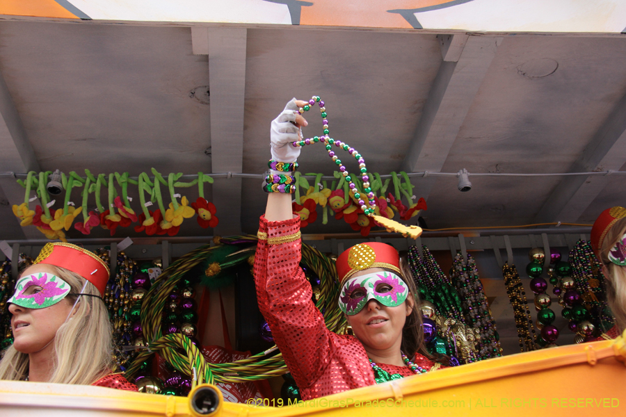 Krewe-of-Iris-2019-006714