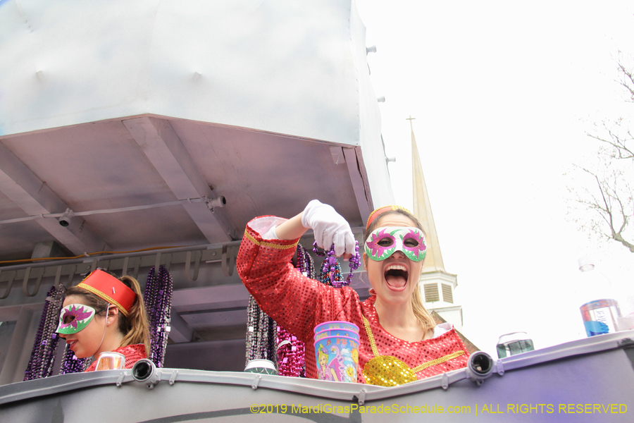 Krewe-of-Iris-2019-006718