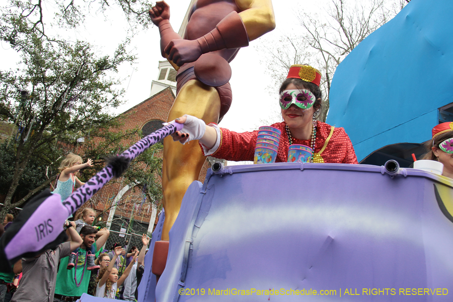 Krewe-of-Iris-2019-006720