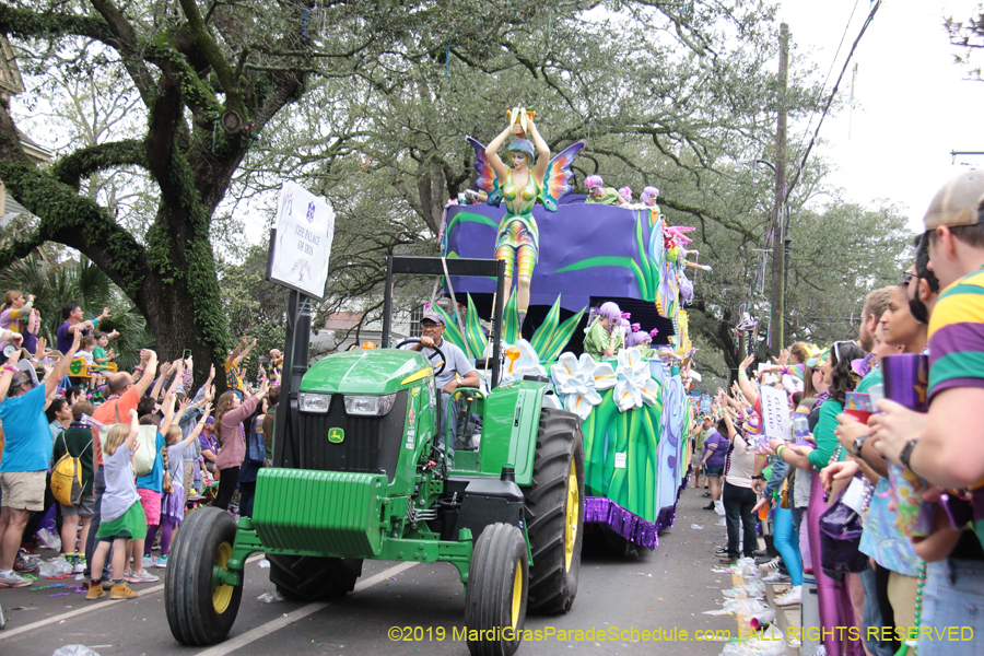 Krewe-of-Iris-2019-006734