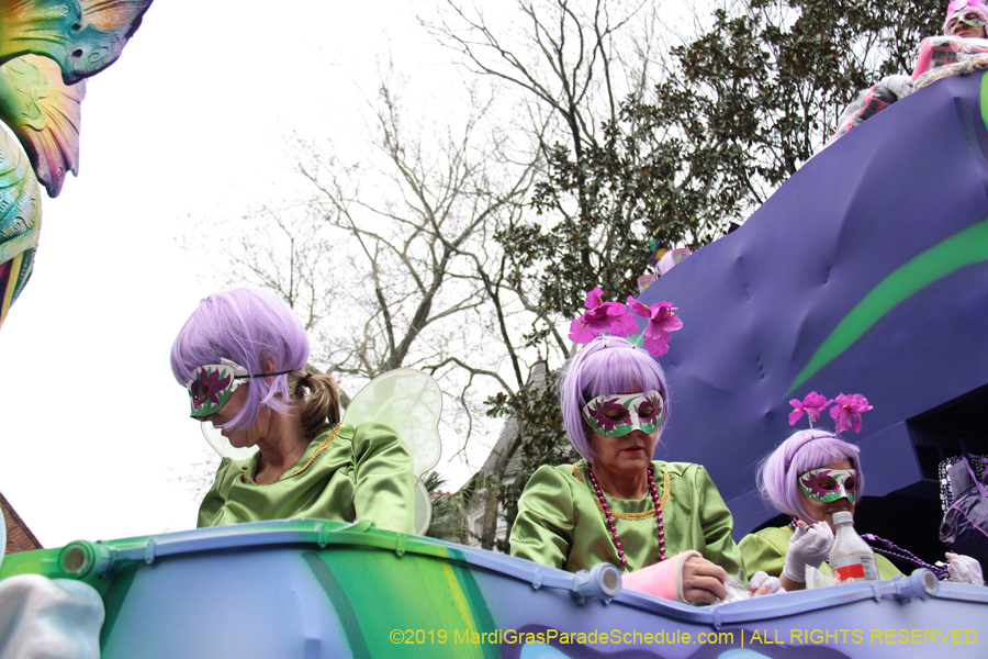 Krewe-of-Iris-2019-006736