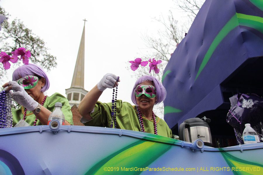 Krewe-of-Iris-2019-006737