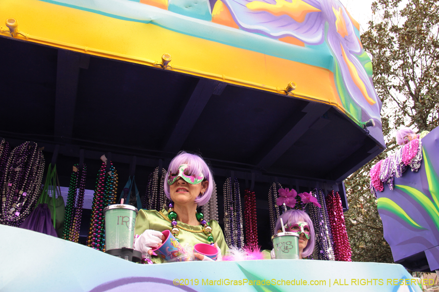 Krewe-of-Iris-2019-006744