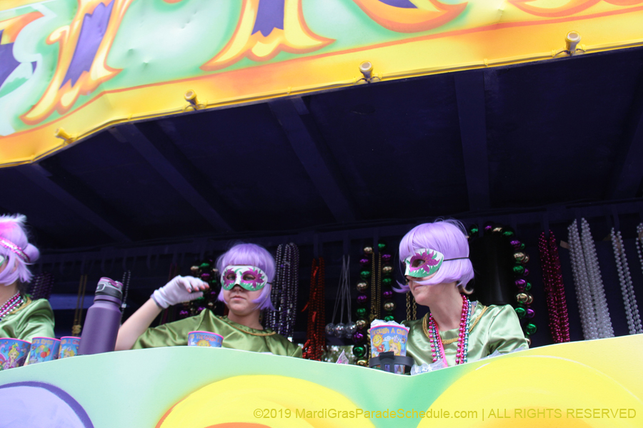 Krewe-of-Iris-2019-006747