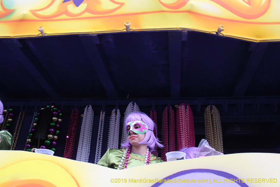 Krewe-of-Iris-2019-006748