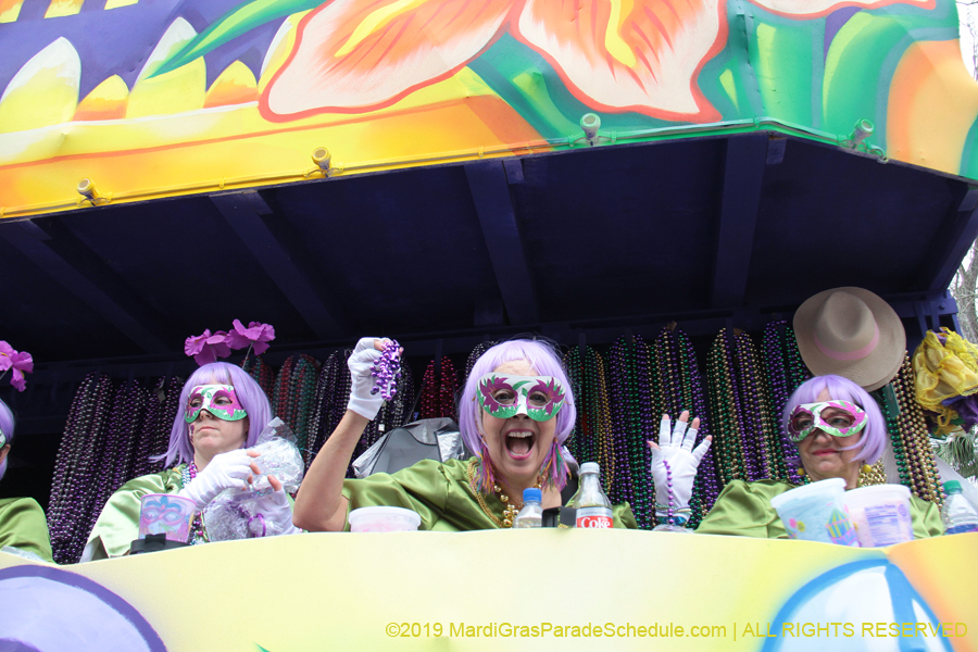 Krewe-of-Iris-2019-006749