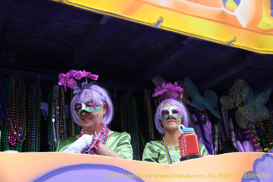 Krewe-of-Iris-2019-006751