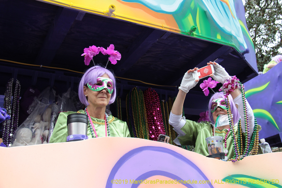 Krewe-of-Iris-2019-006754