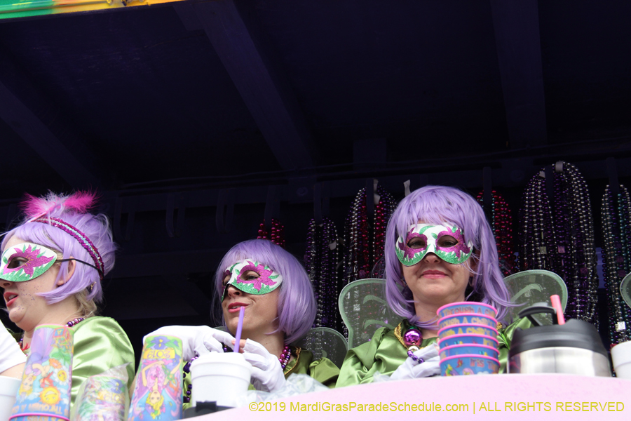 Krewe-of-Iris-2019-006756