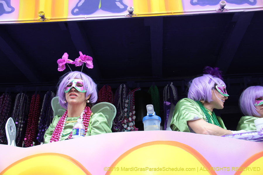 Krewe-of-Iris-2019-006758