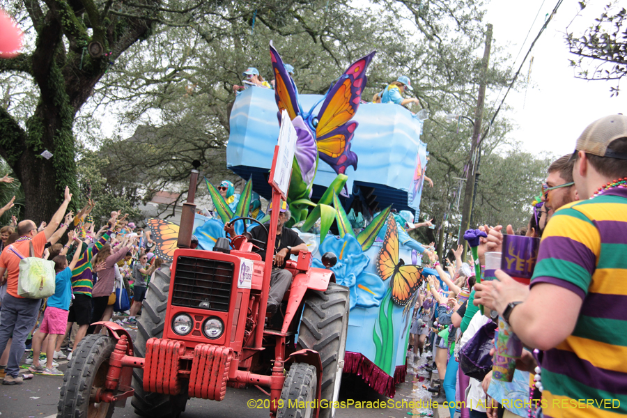 Krewe-of-Iris-2019-006763