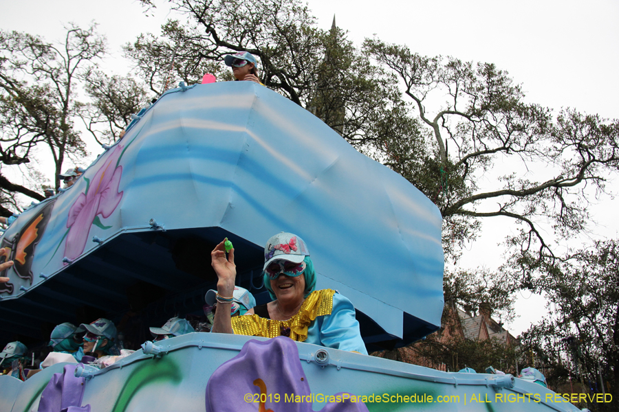 Krewe-of-Iris-2019-006771