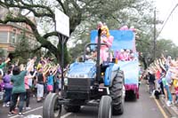 Krewe-of-Iris-2019-006281