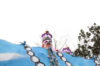 Krewe-of-Iris-2019-006292