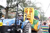 Krewe-of-Iris-2019-006465