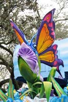 Krewe-of-Iris-2019-006764