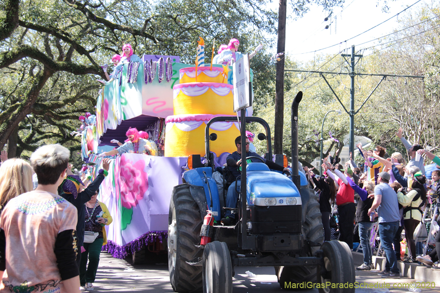 Krewe-of-Iris-2020-06040