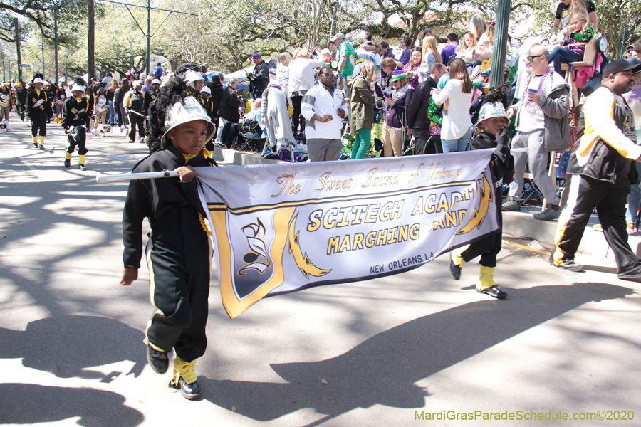 Krewe-of-Iris-2020-06110