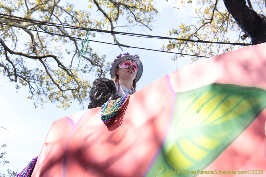 Krewe-of-Iris-2020-06129