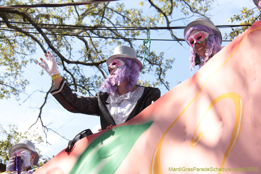 Krewe-of-Iris-2020-06135