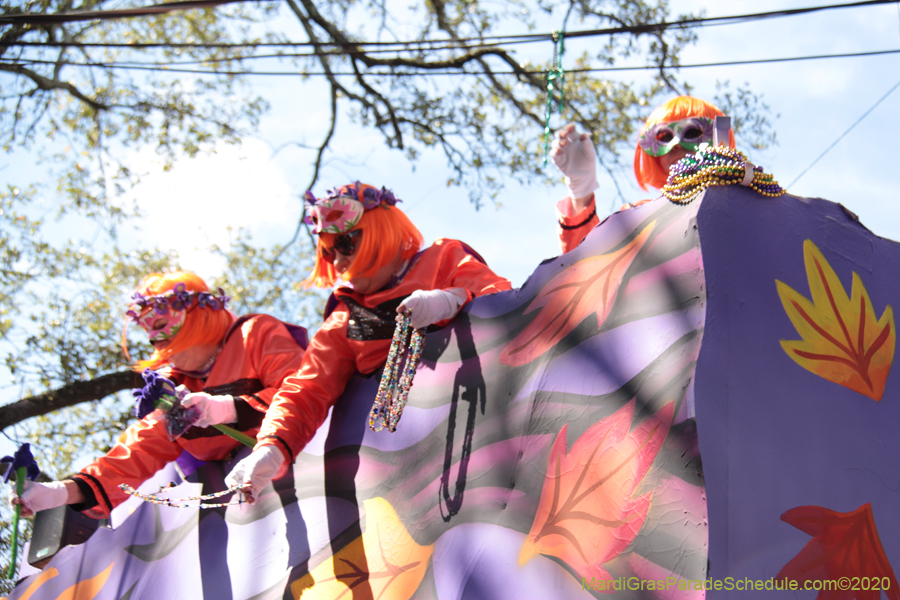 Krewe-of-Iris-2020-06145