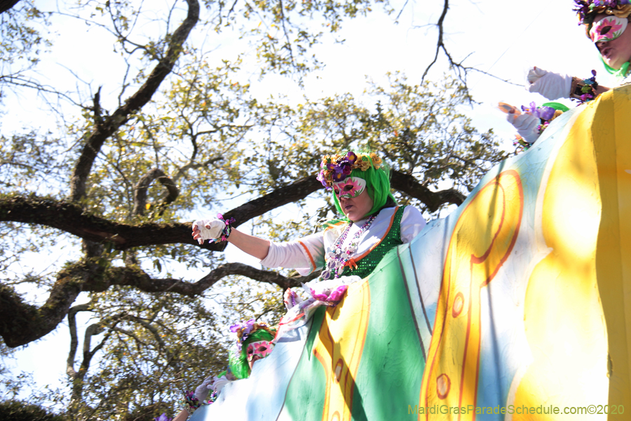 Krewe-of-Iris-2020-06161