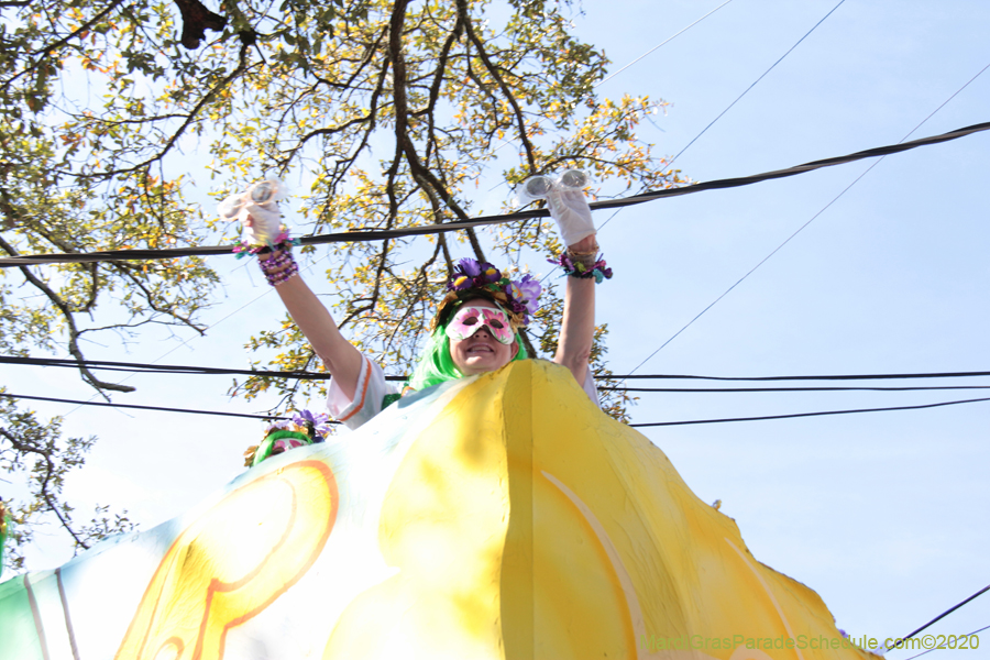 Krewe-of-Iris-2020-06162