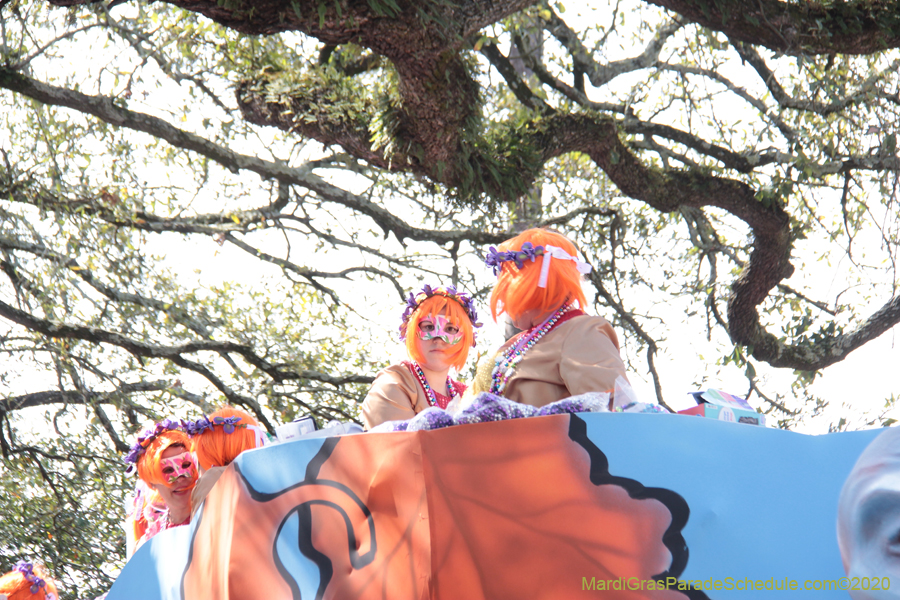 Krewe-of-Iris-2020-06211