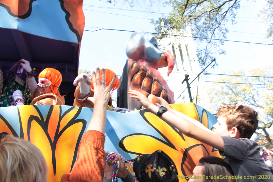 Krewe-of-Iris-2020-06213