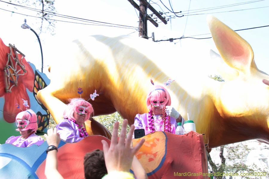 Krewe-of-Iris-2020-06240