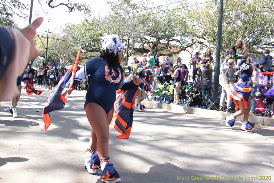 Krewe-of-Iris-2020-06266