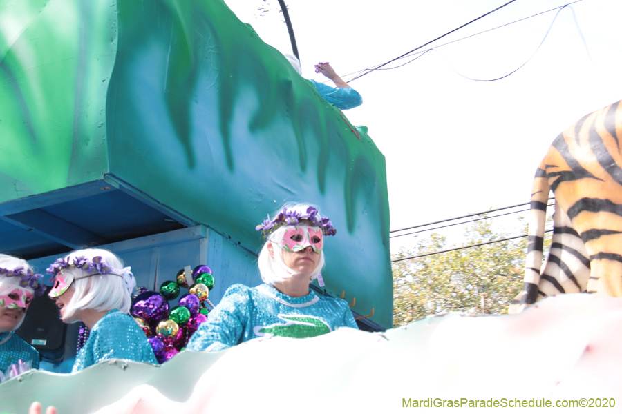 Krewe-of-Iris-2020-06283