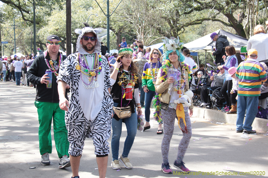 Krewe-of-Iris-2020-06303