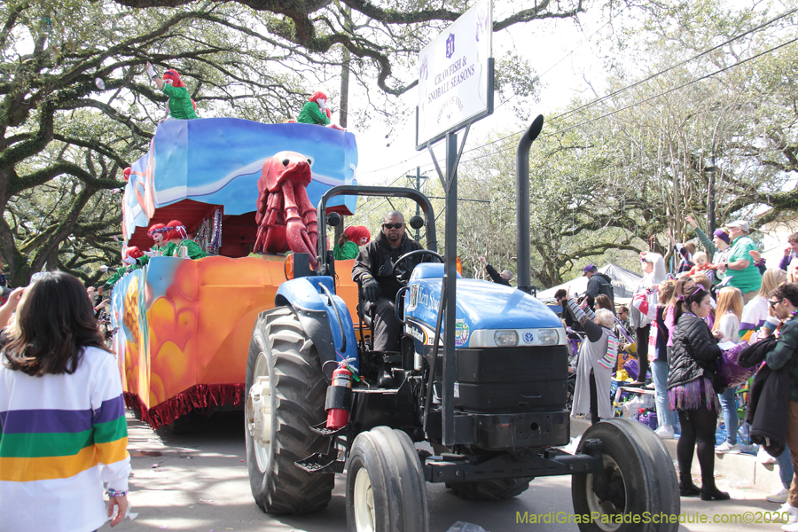 Krewe-of-Iris-2020-06330