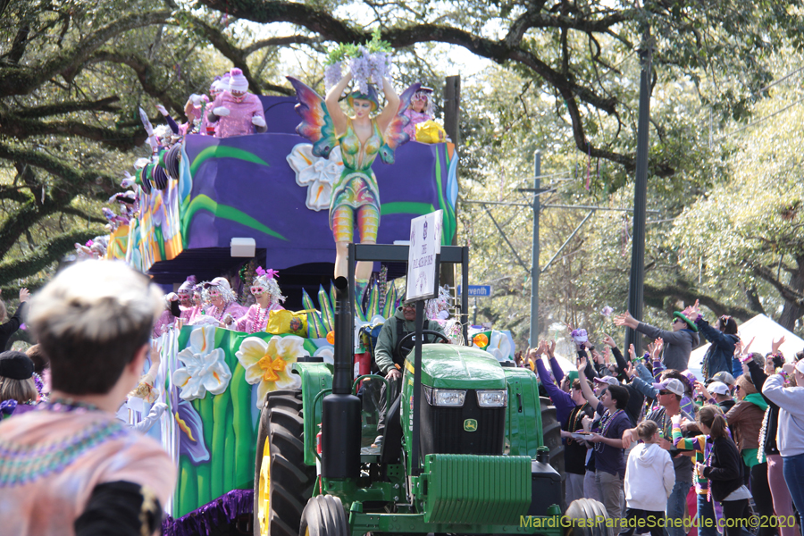 Krewe-of-Iris-2020-06343