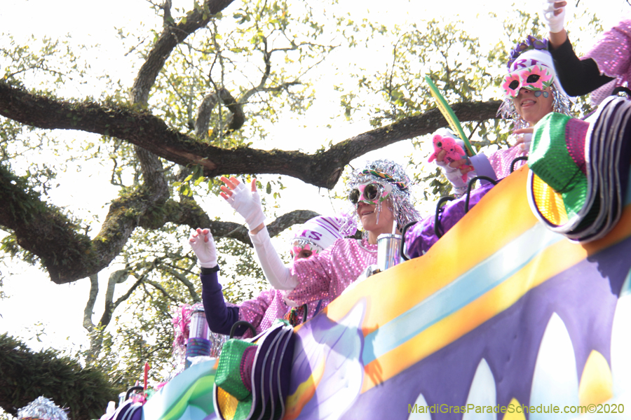 Krewe-of-Iris-2020-06344