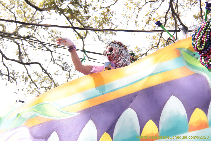 Krewe-of-Iris-2020-06348