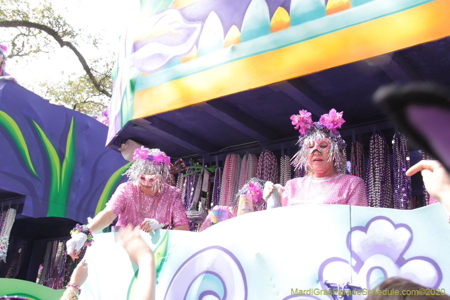 Krewe-of-Iris-2020-06349