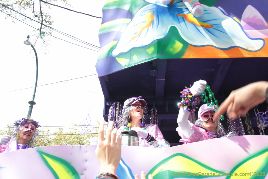 Krewe-of-Iris-2020-06362