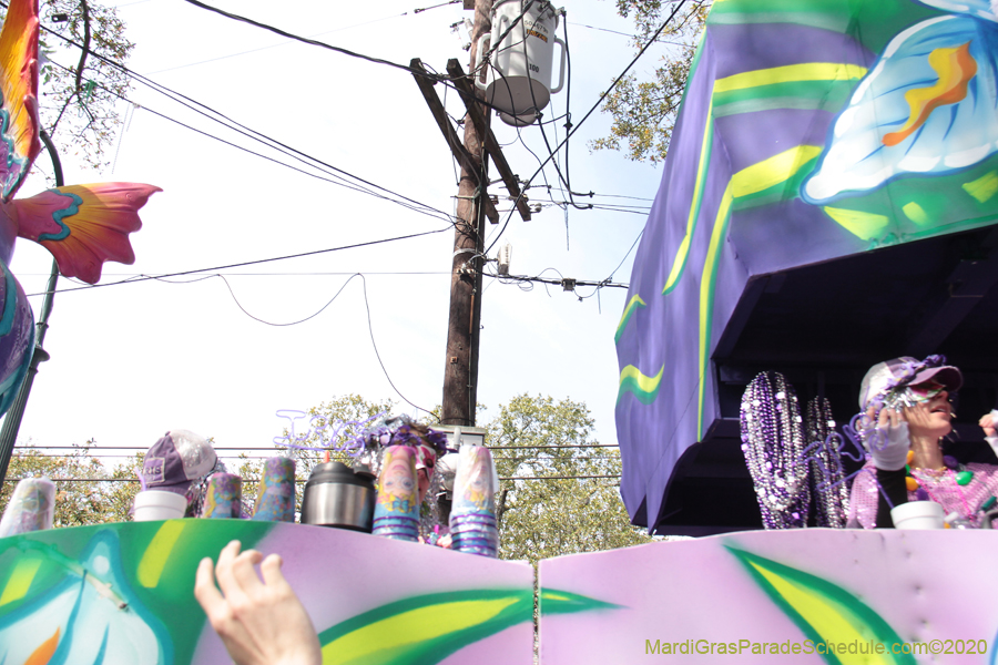 Krewe-of-Iris-2020-06363