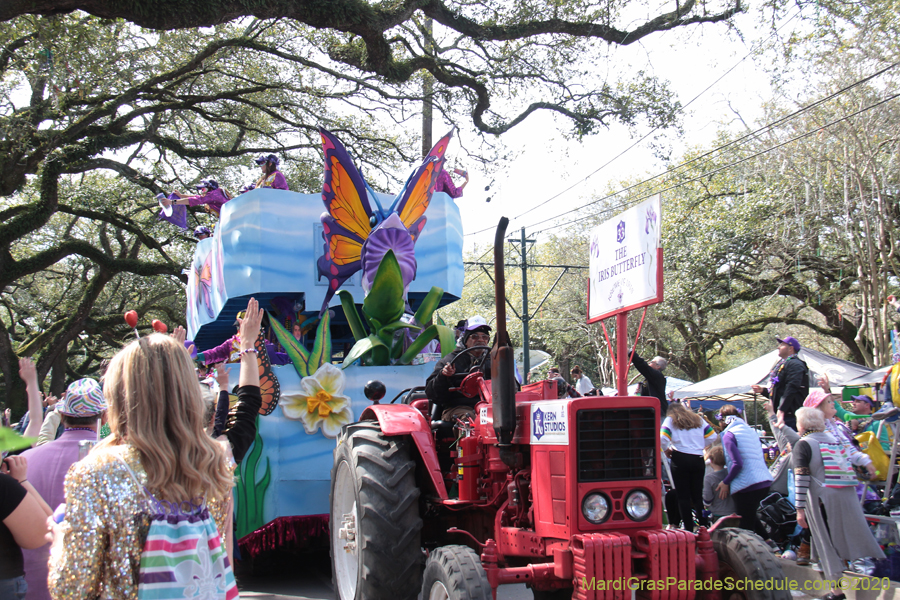 Krewe-of-Iris-2020-06367