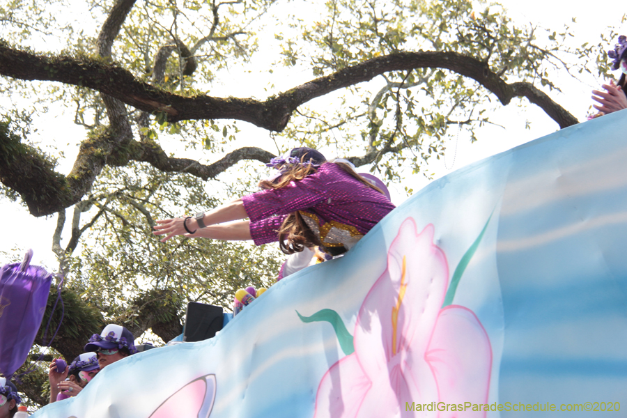 Krewe-of-Iris-2020-06368